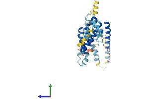 AlphaFold protein structure predicition of Mouse Recombinant Pex2 Protein, UniprotID P55098