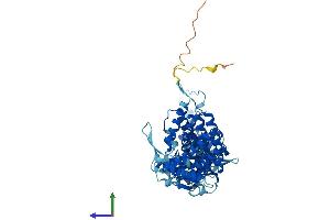 AlphaFold protein structure predicition of Mouse Recombinant Cct3 Protein, UniprotID P80318
