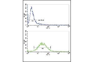 Flow cytometric analysis of ZR-75-1 cells (bottom histogram) compared to a negative control cell (top histogram).