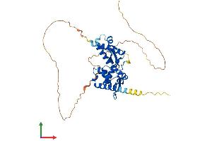 AlphaFold protein structure predicition of Human Recombinant MAGEA10 Protein, UniprotID P43363