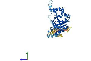 AlphaFold protein structure predicition of Mouse Recombinant Gpn3 Protein, UniprotID Q9D3W4