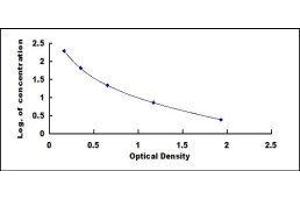 ELISA image for Follistatin (FST) ELISA Kit (ABIN424077)
