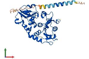 AlphaFold protein structure predicition of Human Recombinant FUT2 Protein, UniprotID Q10981