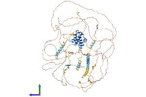 AlphaFold protein structure predicition of Human Recombinant PHC3 Protein, UniprotID Q8NDX5