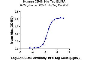 Immobilized Human CD46, His Tag at 0.