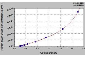 Typical standard curve (LC3B Kit ELISA)