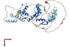 AlphaFold protein structure predicition of Human Recombinant ZSCAN22 Protein, UniprotID P10073