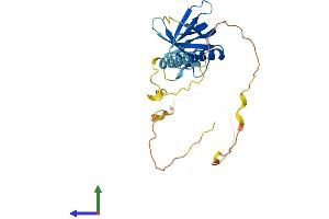 AlphaFold protein structure predicition of Human Recombinant NECAP2 Protein, UniprotID Q9NVZ3