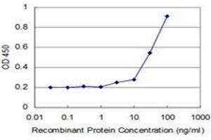 Detection limit for recombinant GST tagged TGIF2 is approximately 3ng/ml as a capture antibody. (TGIF2 anticorps  (AA 131-236))