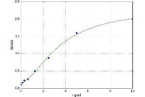 A typical standard curve (RPS6KB1 Kit ELISA)
