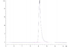 The purity of Biotinylated Mouse GFRAL is greater than 95 % as determined by SEC-HPLC.