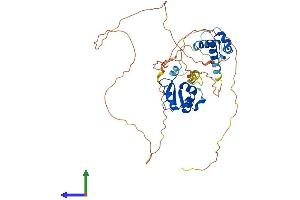 AlphaFold protein structure predicition of Mouse Recombinant Fli1 Protein, UniprotID P26323