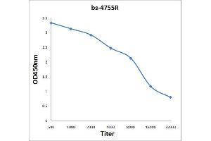 Antigen: 2 µg/100 µL  Primary: Antiserum, 1:500, 1:1000, 1:2000, 1:4000, 1:8000, 1:16000, 1:32000;  Secondary: HRP conjugated Rabbit Anti-Goat IgG at 1: 5000;  TMB staining Read the data in Microplate Reader by 450nm.