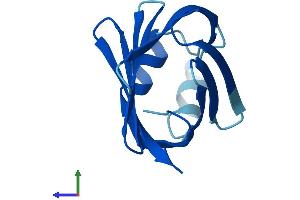 AlphaFold protein structure predicition of Mouse Recombinant Fabp1 Protein, UniprotID P12710