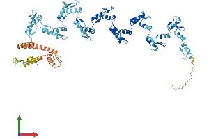 AlphaFold protein structure predicition of Human Recombinant ZNF420 Protein, UniprotID Q8TAQ5