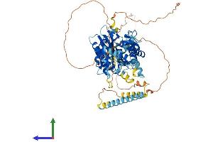 AlphaFold protein structure predicition of Mouse Recombinant Kif22 Protein, UniprotID Q3V300