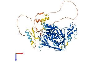 AlphaFold protein structure predicition of Human Recombinant DTX4 Protein, UniprotID Q9Y2E6