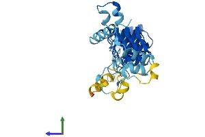 AlphaFold protein structure predicition of Mouse Recombinant Asb12 Protein, UniprotID Q9D738