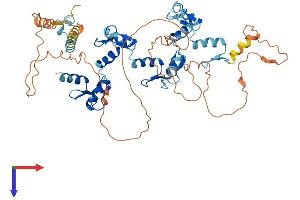 AlphaFold protein structure predicition of Human Recombinant ZNF519 Protein, UniprotID Q8TB69