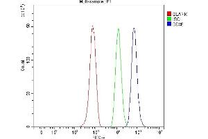 Flow Cytometry analysis of HepG2 cells using anti-DDX6 antibody (ABIN7602044).