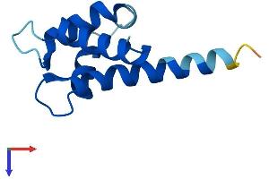 AlphaFold protein structure predicition of Mouse Recombinant S100a11 Protein, UniprotID P50543