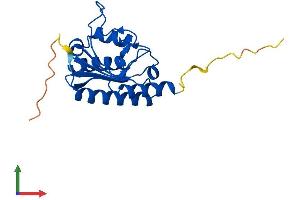 AlphaFold protein structure predicition of Mouse Recombinant Adat2 Protein, UniprotID Q6P6J0