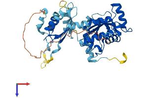 AlphaFold protein structure predicition of Mouse Recombinant Ube2q2 Protein, UniprotID Q8K2Z8