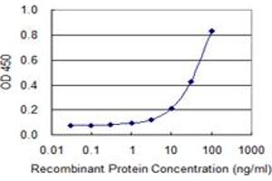 Detection limit for recombinant GST tagged IGF2BP2 is 1 ng/ml as a capture antibody. (IGF2BP2 anticorps  (AA 1-598))