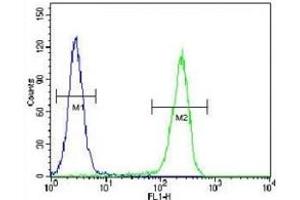 CRFR2D antibody flow cytometric analysis of HeLa cells (right histogram) compared to a negative control cell (left histogram). (CRFR2D anticorps)