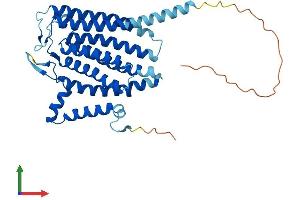 AlphaFold protein structure predicition of Human Recombinant TRAM2 Protein, UniprotID Q15035