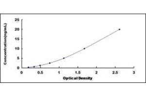Apelin Receptor (APLNR) ELISA Kit