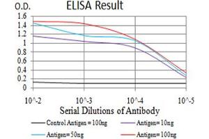 Fig. (CBX2 anticorps  (AA 402-525))