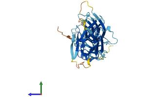 AlphaFold protein structure predicition of Mouse Recombinant Arr3 Protein, UniprotID Q9EQP6