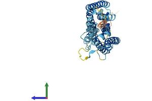 AlphaFold protein structure predicition of Human Recombinant SLC51A Protein, UniprotID Q86UW1