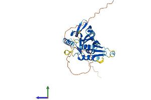 AlphaFold protein structure predicition of Human Recombinant MEDAG Protein, UniprotID Q5VYS4