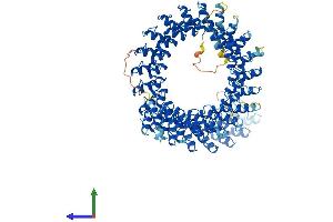 AlphaFold protein structure predicition of Human Recombinant ANKRD44 Protein, UniprotID Q8N8A2