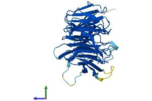 AlphaFold protein structure predicition of Human Recombinant DCAF7 Protein, UniprotID P61962
