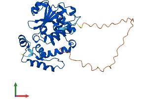 AlphaFold protein structure predicition of Mouse Recombinant Clvs2 Protein, UniprotID Q8BG92