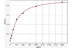 Chemokine (C-X-C Motif) Ligand 10 (CXCL10) ELISA Kit
