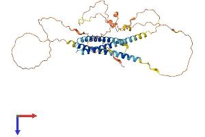 AlphaFold protein structure predicition of Mouse Recombinant Syne4 Protein, UniprotID Q8CII8