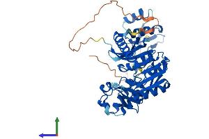 AlphaFold protein structure predicition of Human Recombinant TRMT12 Protein, UniprotID Q53H54