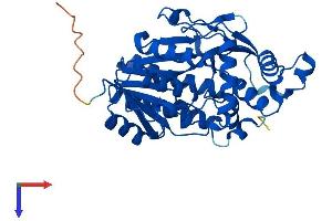 AlphaFold protein structure predicition of Human Recombinant TGDS Protein, UniprotID O95455
