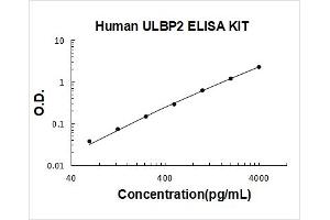 UL16 Binding Protein 2 (ULBP2) ELISA Kit