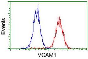Flow Cytometry (FACS) image for anti-Vascular Cell Adhesion Molecule 1 (VCAM1) antibody (ABIN1497154)