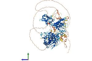 AlphaFold protein structure predicition of Human Recombinant ADAR Protein, UniprotID P55265