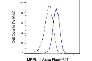Validation of MRPL11 knockdown using flow cytometry. (MRPL11 anticorps)