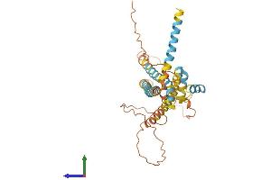 AlphaFold protein structure predicition of Human Recombinant APOL6 Protein, UniprotID Q9BWW8