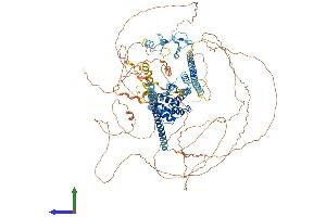 AlphaFold protein structure predicition of Human Recombinant LIMCH1 Protein, UniprotID Q9UPQ0