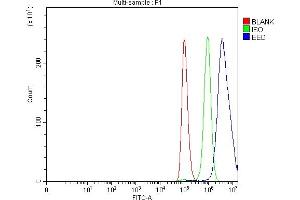 Flow Cytometry analysis of A549 cells using anti-EED antibody (ABIN7602442).