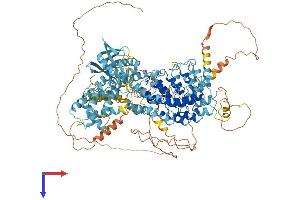 AlphaFold protein structure predicition of Human Recombinant ANKRD27 Protein, UniprotID Q96NW4